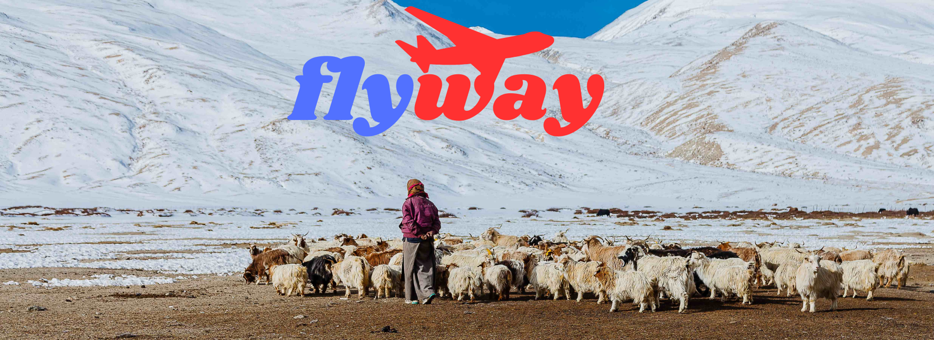 flywaybanner